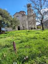May be an image of bell tower